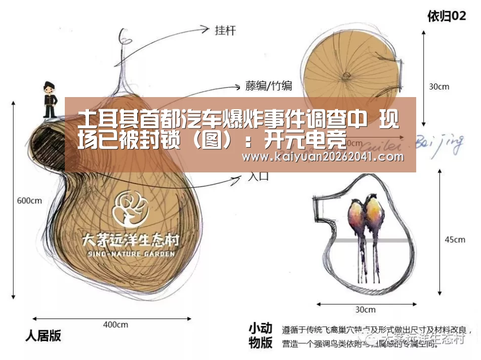 土耳其首都汽车爆炸事件调查中 现场已被封锁(图):开元电竞(图2) 开元平台