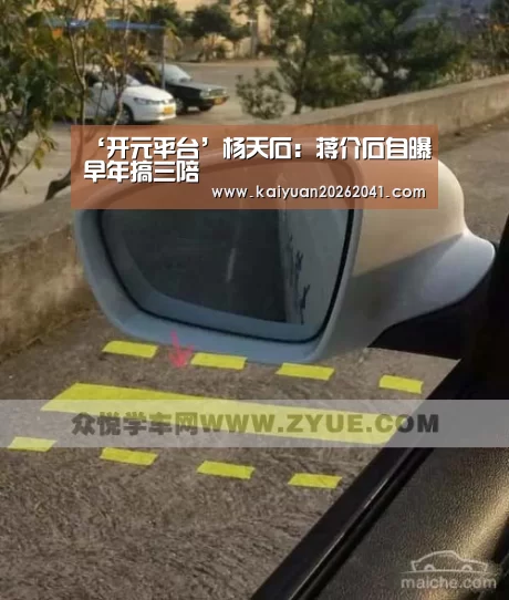 ‘开元平台’杨天石:蒋介石自曝早年搞三陪(图2) 开元竞猜